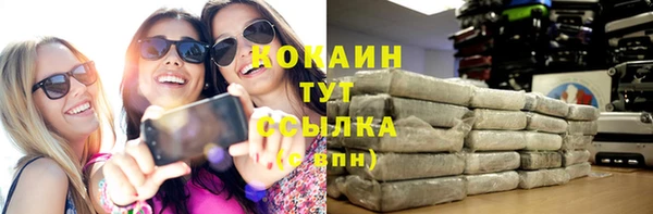 ешки Алексин