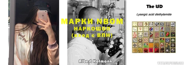 ПСИЛОЦИБИНОВЫЕ ГРИБЫ Алзамай