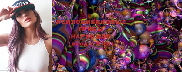 шишки Алексеевка