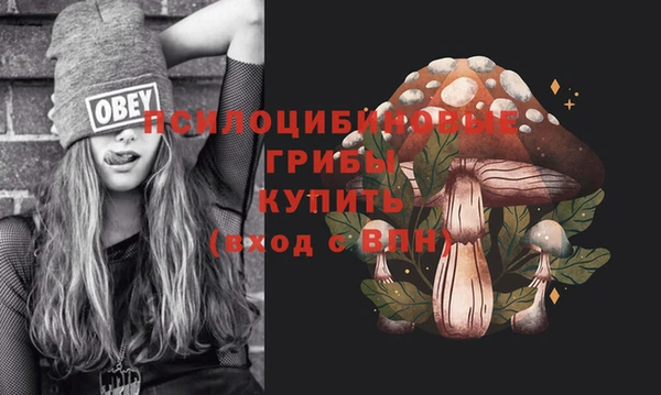 ПСИЛОЦИБИНОВЫЕ ГРИБЫ Алзамай