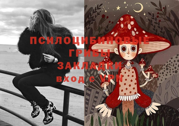 ешки Алексин