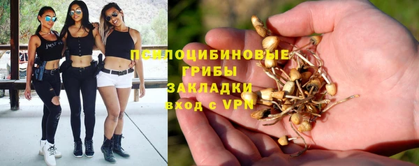 шишки Алексеевка