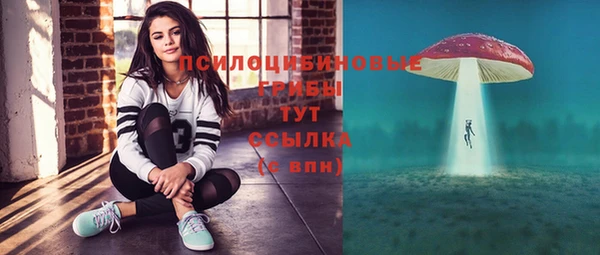 шишки Алексеевка