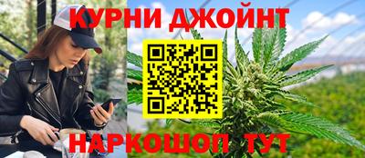 гидра Гай