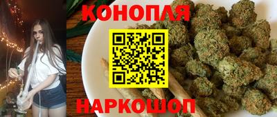гидра Гай