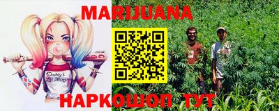apvp Гагарин