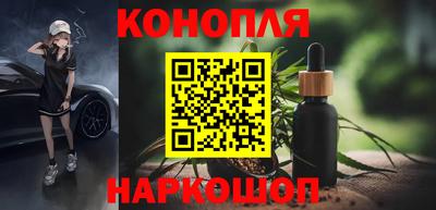 apvp Гагарин