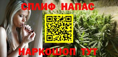 гидра Гай