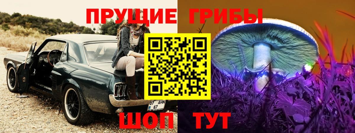 Карачаевск  Галлюциногенные грибы прущие грибы  Вход с VPN 