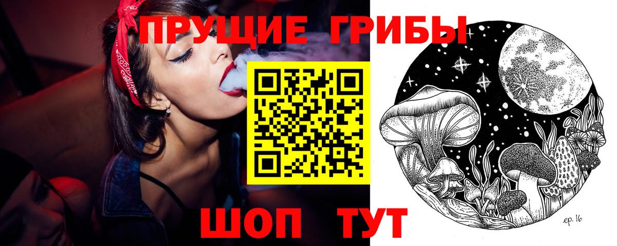 Псилоцибиновые грибы прущие грибы Карачаевск